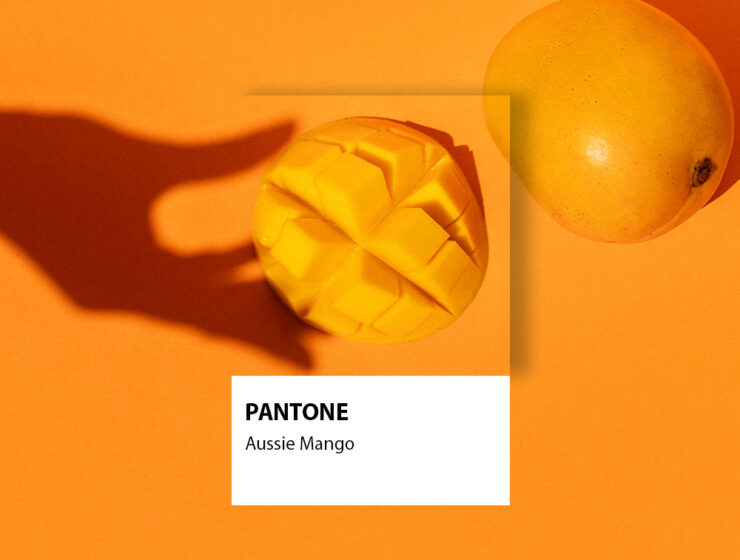 Get Behind Aussie Mangoes & Their Bid for Pantone Global Colour of The Year